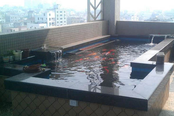 锦鲤鱼池15.JPG