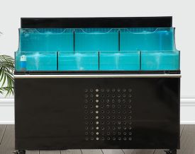 移动海鲜缸LY-03
